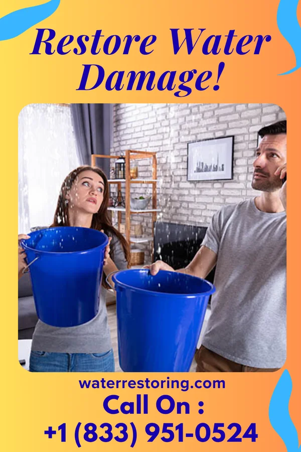 water restoration Silver Restoration Solutions Specialists Baileyville